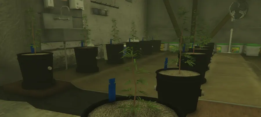 ZuiderVeen — gallery